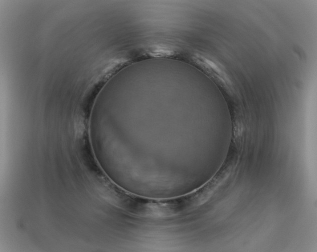 X0000113230367200909101216
