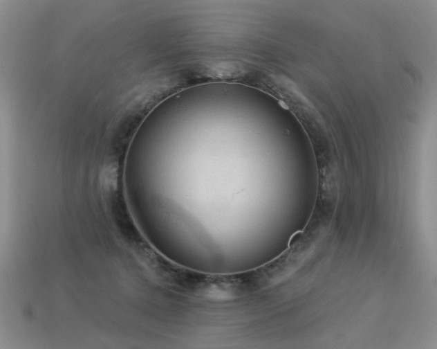 X0000113230368200909101216
