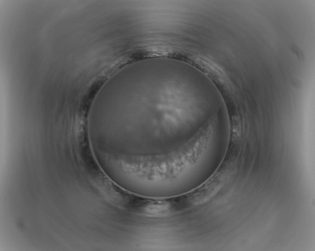 X0000113230369200909101216