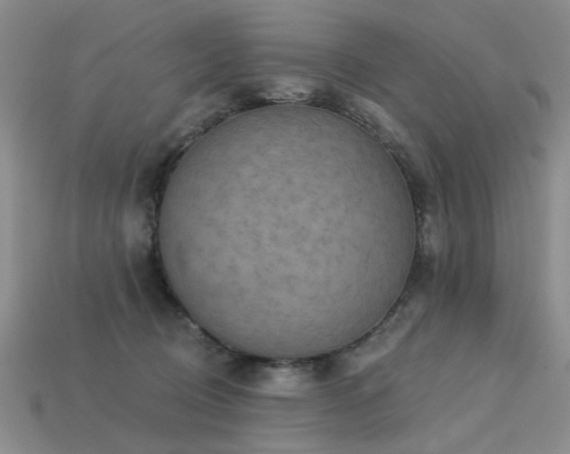 X0000113230370200909101216
