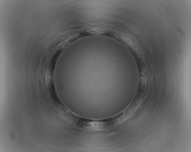 X0000113230371200909101216