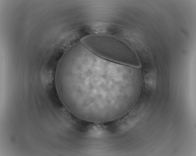 X0000113230372200909101216