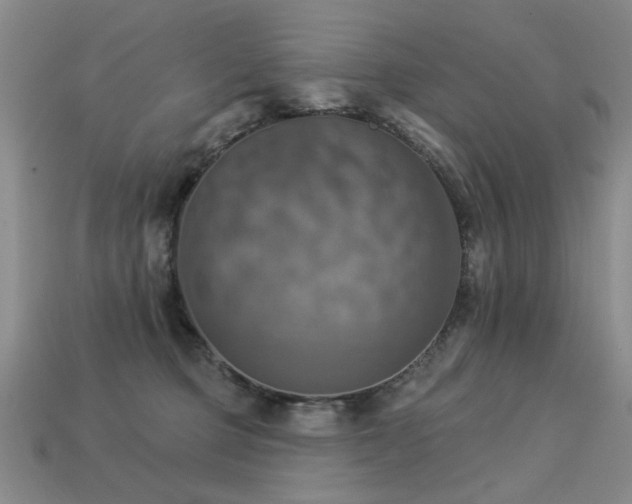 X0000113230373200909101216