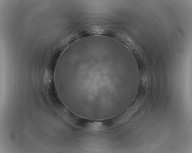 X0000113230374200909101216