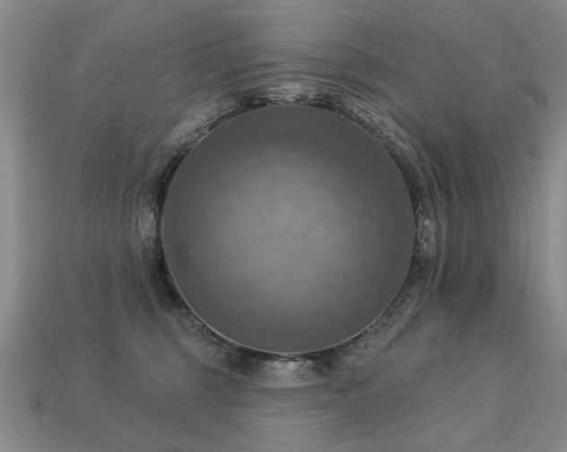 X0000113230375200909101216