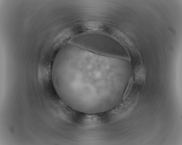 X0000113230376200909101216