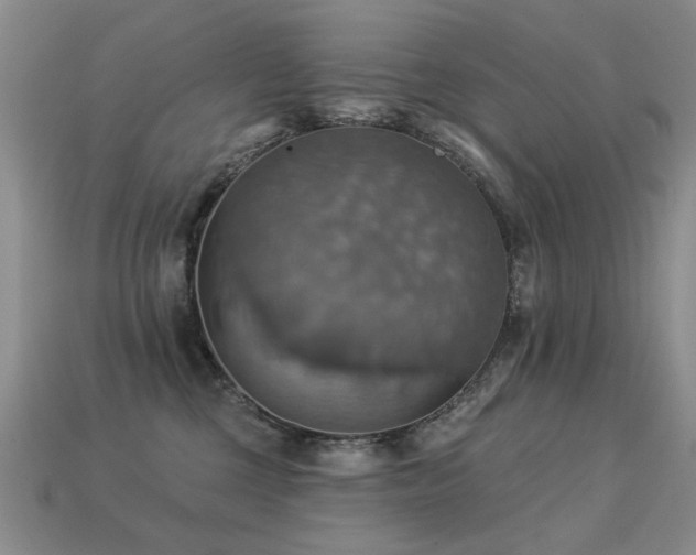 X0000113230377200909101216