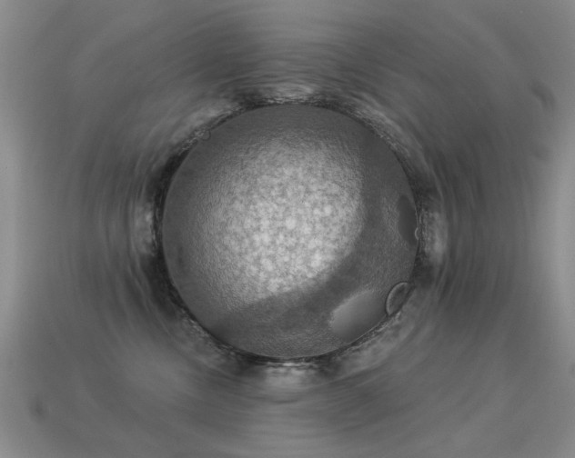 X0000113230378200909101216