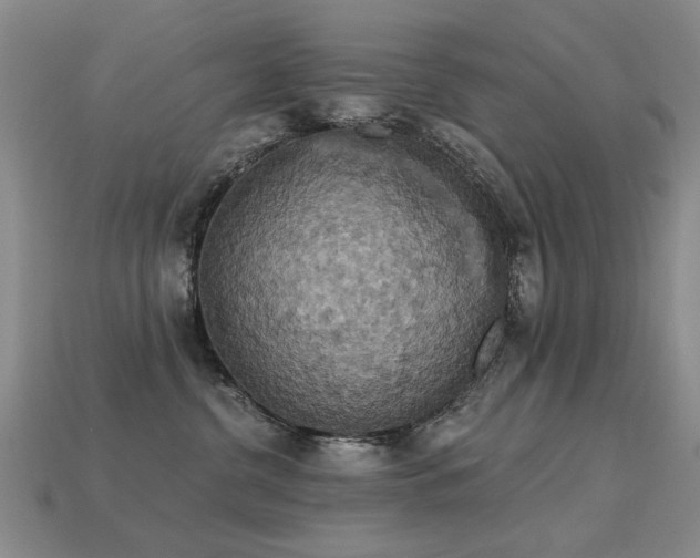 X0000113230380200909101216