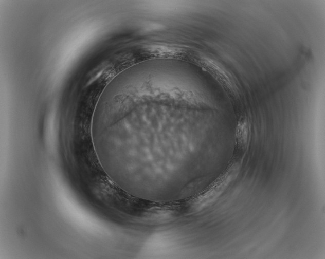 X0000113230381200909101216