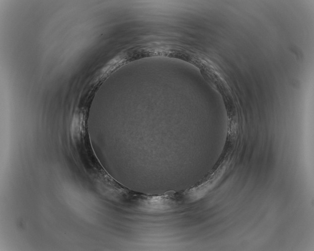 X0000113230382200909101216