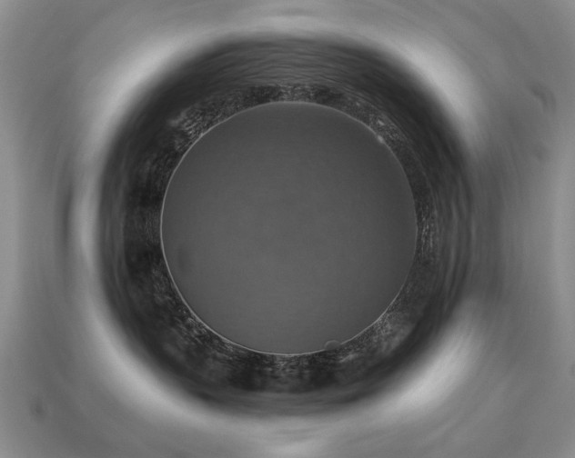 X0000113230383200909101216