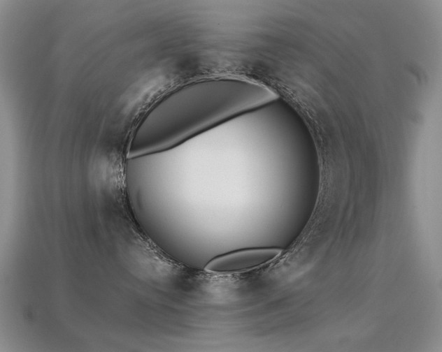 X0000113230384200909101216