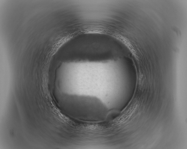 X0000113230385200909101215