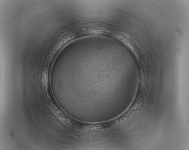 X0000113230386200909101215