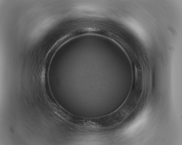 X0000113230387200909101215