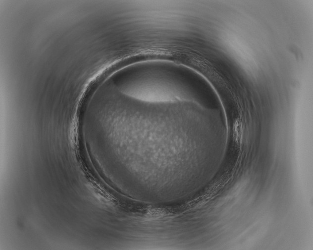 X0000113230388200909101215