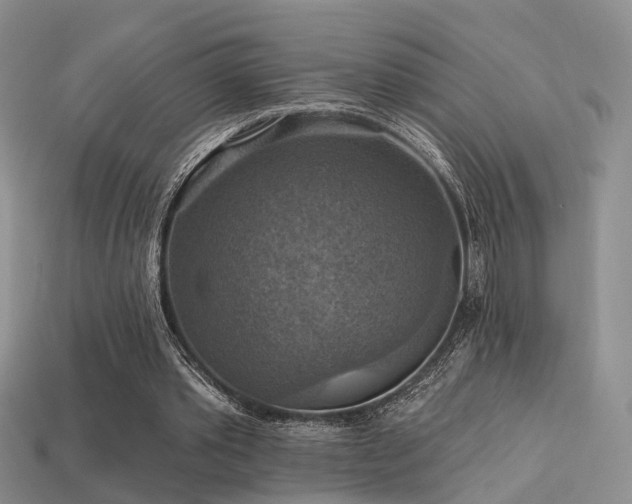 X0000113230389200909101215