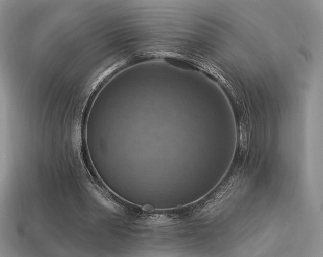 X0000113230390200909101215