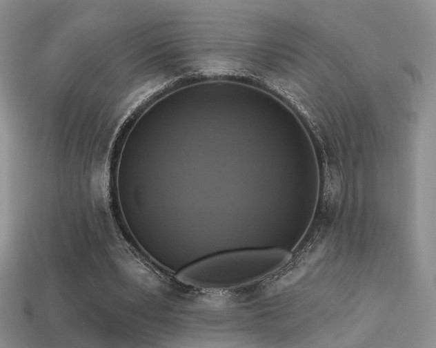 X0000113230391200909101215