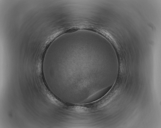 X0000113230393200909101215
