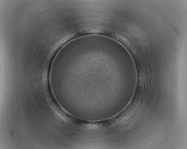 X0000113230394200909101215