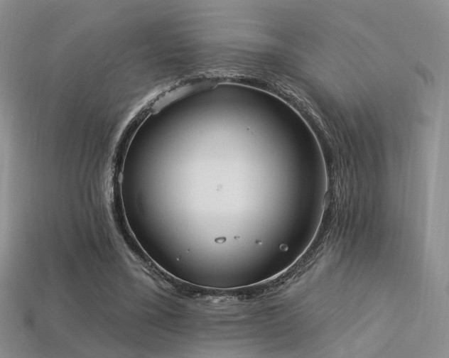 X0000113230395200909101215