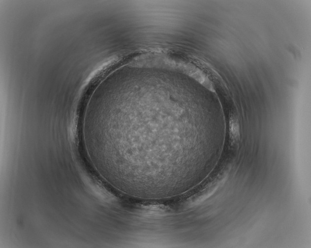 X0000113230396200909101215