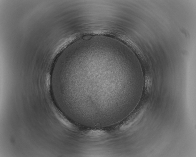 X0000113230397200909101215