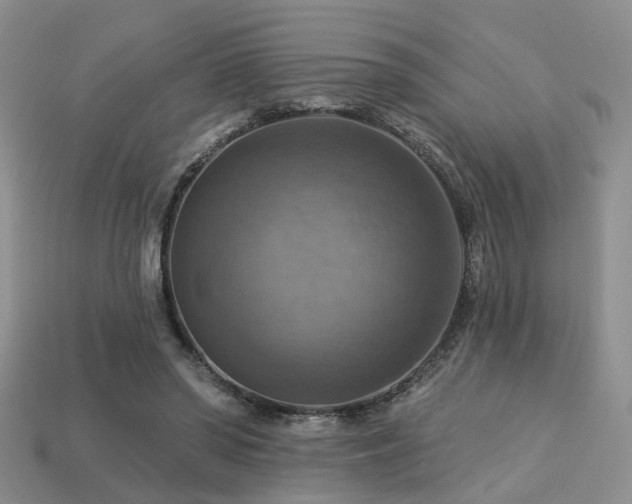 X0000113230398200909101215