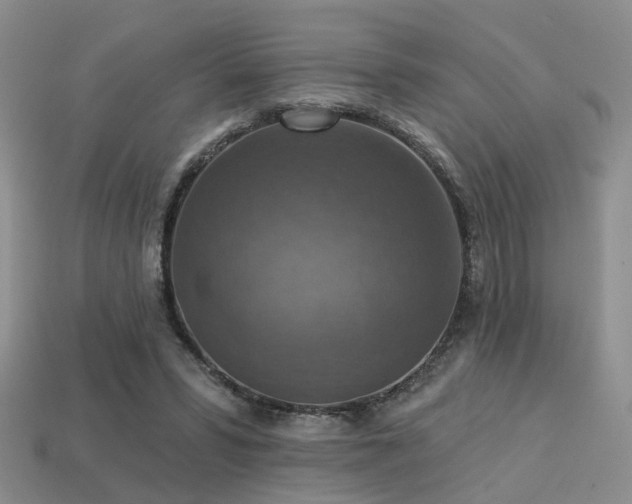 X0000113230399200909101215