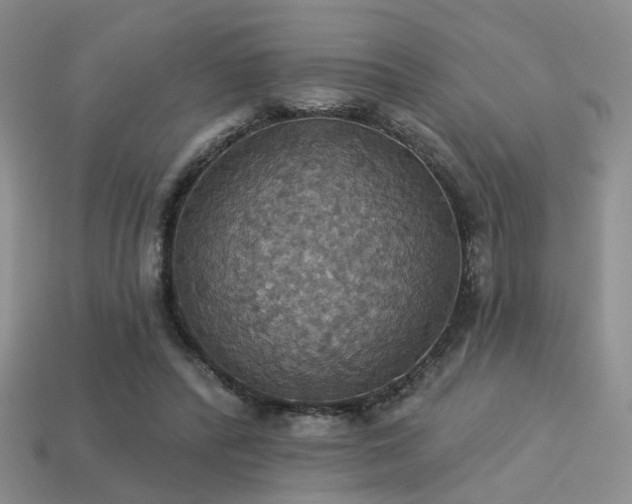 X0000113230400200909101215