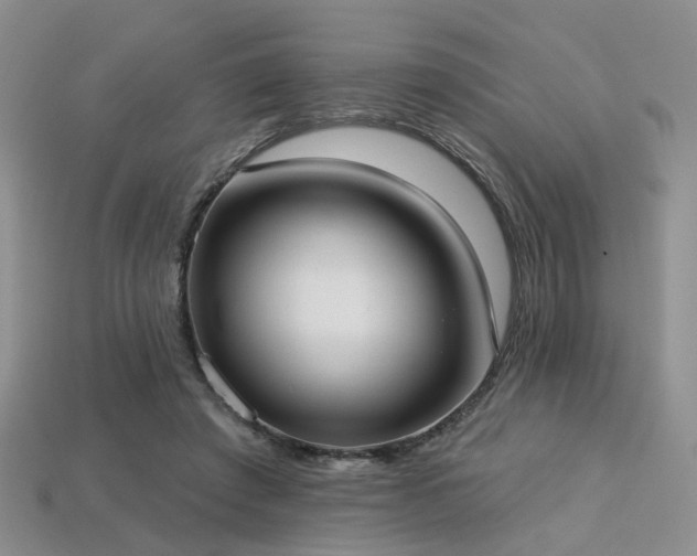 X0000113230401200909101215