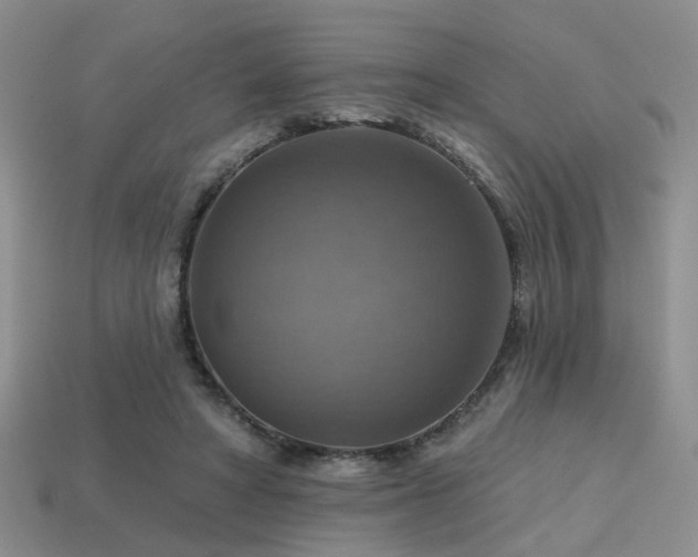 X0000113230402200909101215
