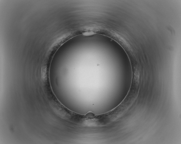 X0000113230403200909101215