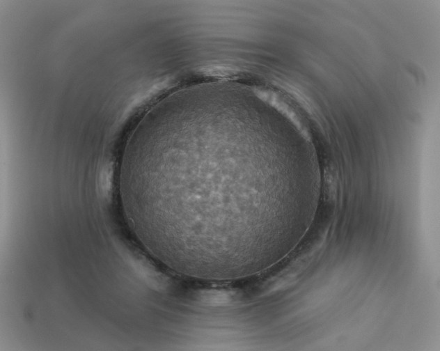 X0000113230404200909101215