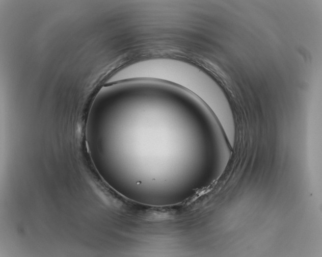 X0000113230405200909101215