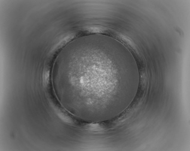 X0000113230406200909101215