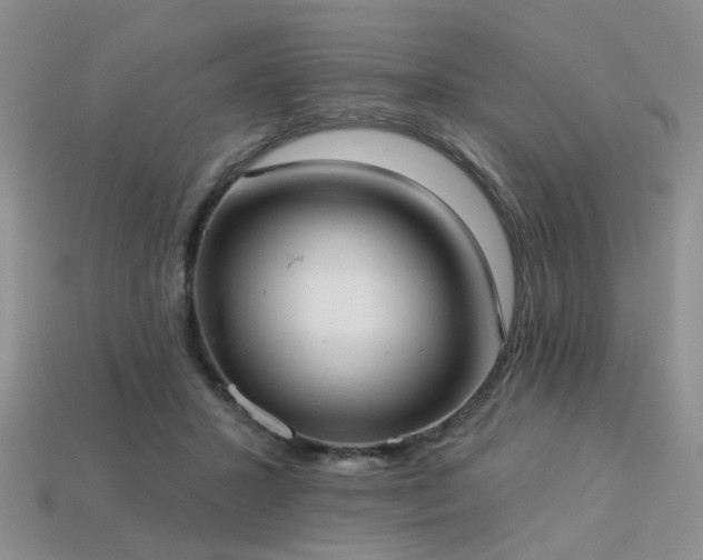 X0000113230407200909101215