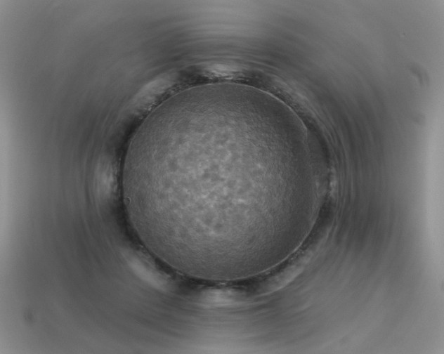 X0000113230408200909101215