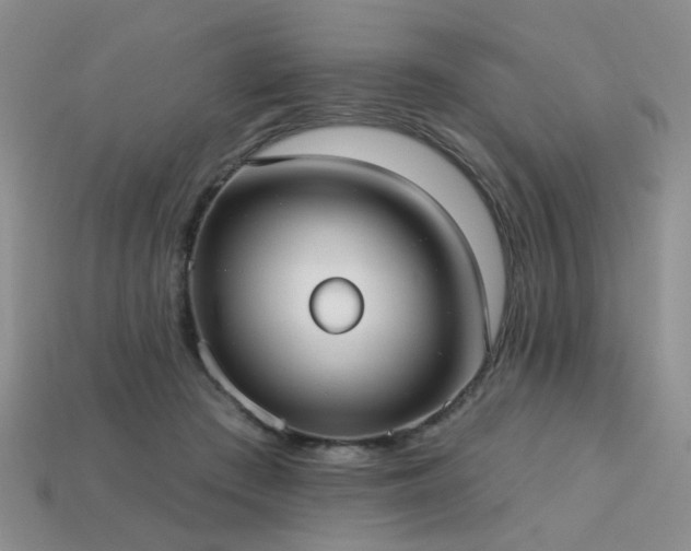 X0000113230409200909101215