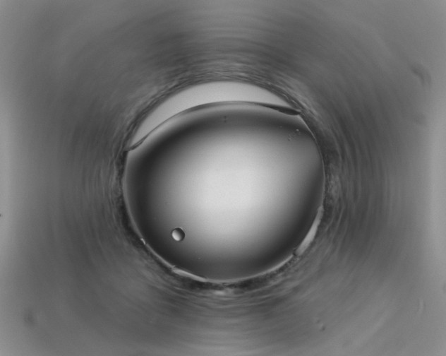X0000113230411200909101215