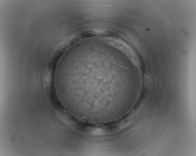X0000113230412200909101215
