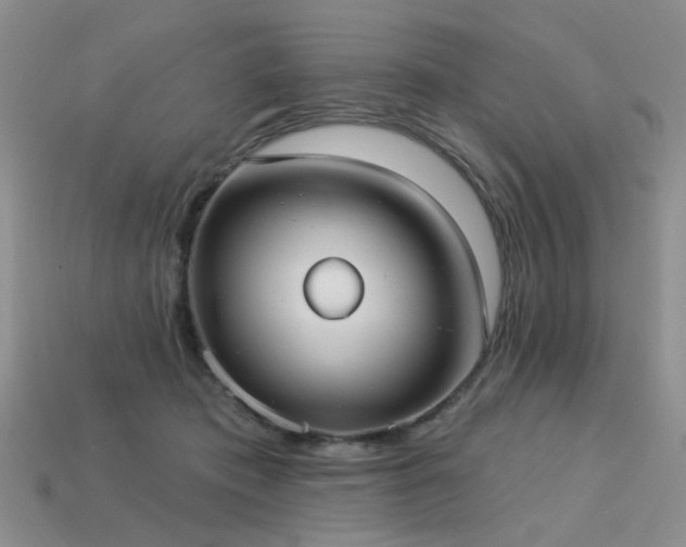 X0000113230413200909101215