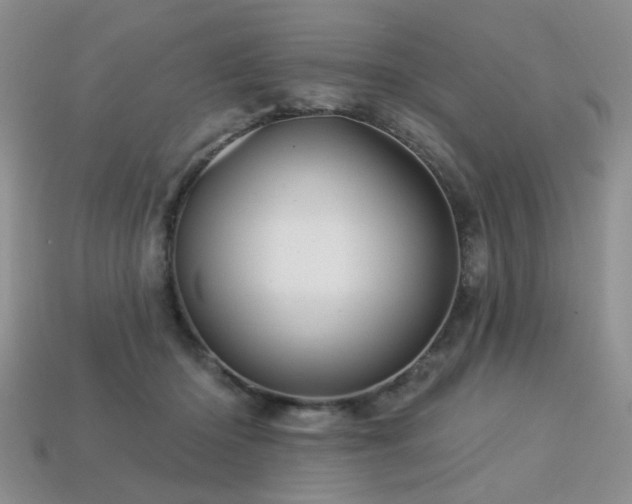 X0000113230414200909101215