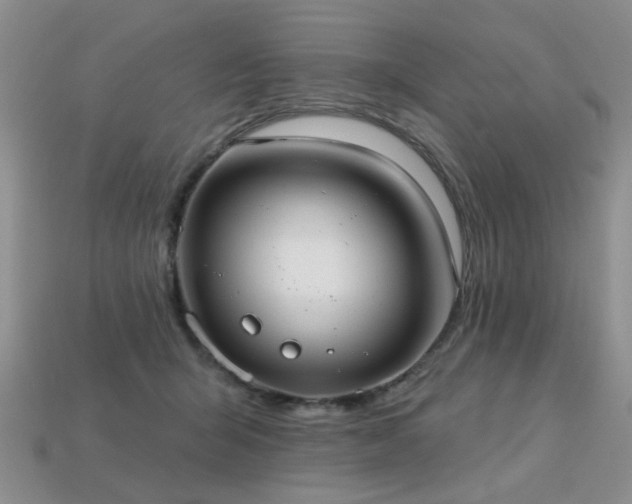 X0000113230415200909101215