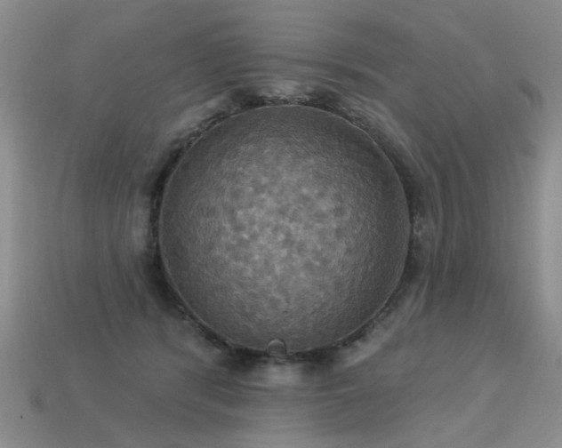 X0000113230416200909101215