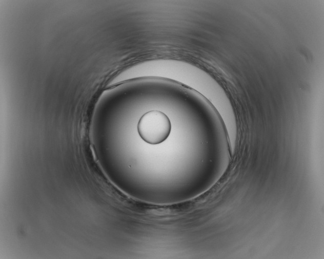 X0000113230417200909101215