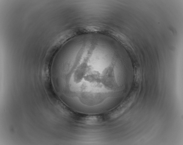 X0000113230418200909101215