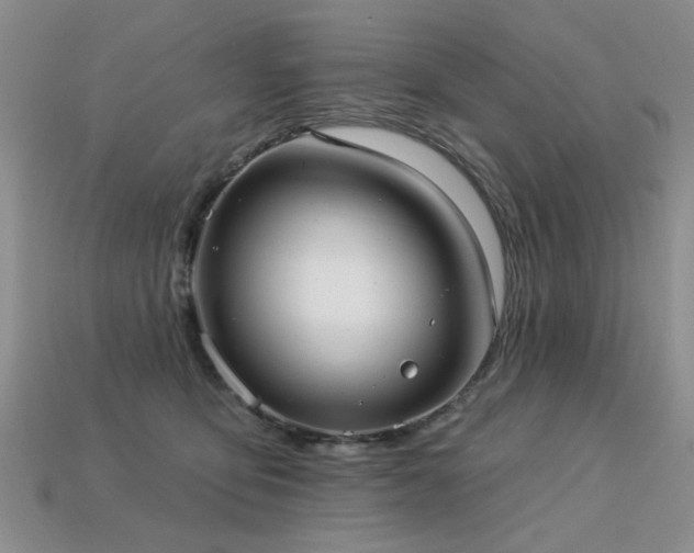 X0000113230419200909101215